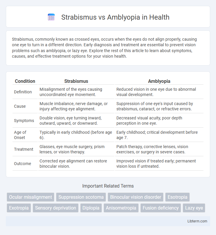 Amblyopia vs Strabismus in Health - What is The Difference?