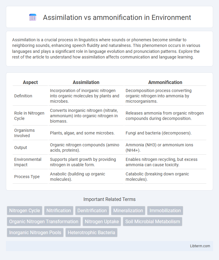 ammonification vs Assimilation in Environment - What is The Difference?