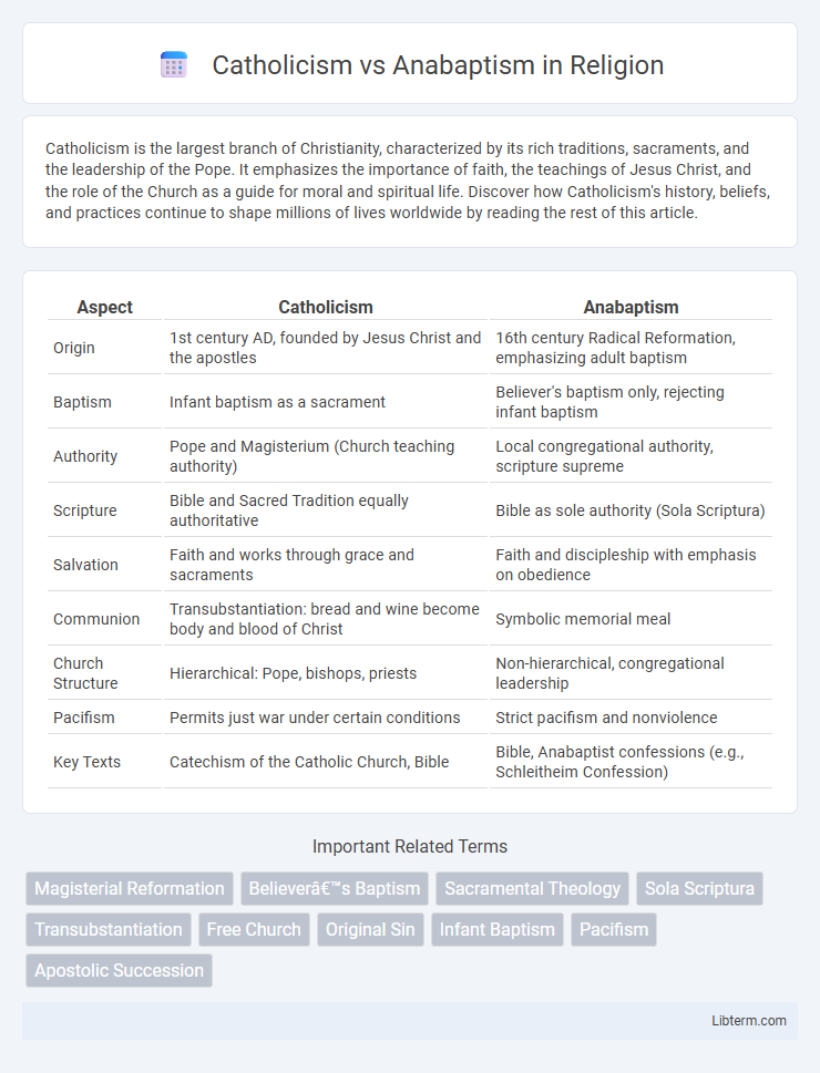 Anabaptism vs Catholicism in Religion - What is The Difference?