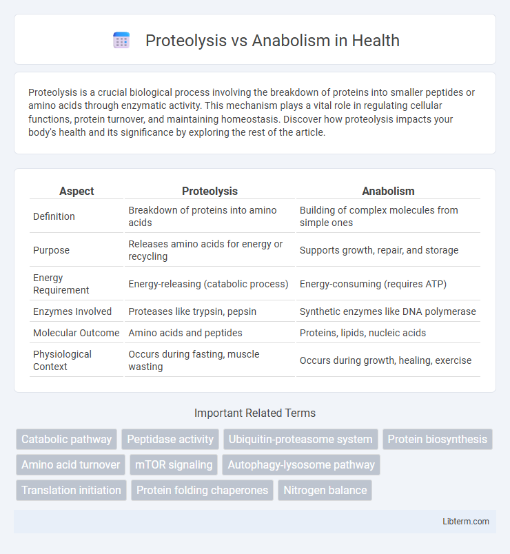Anabolism vs Proteolysis in Health - What is The Difference?