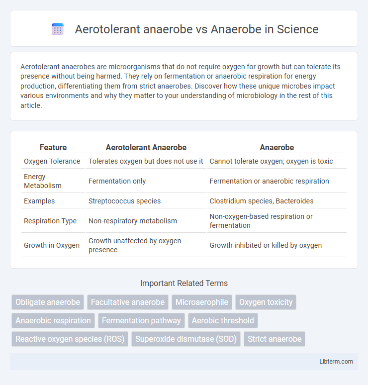 Anaerobe vs Aerotolerant anaerobe in Science - What is The Difference?