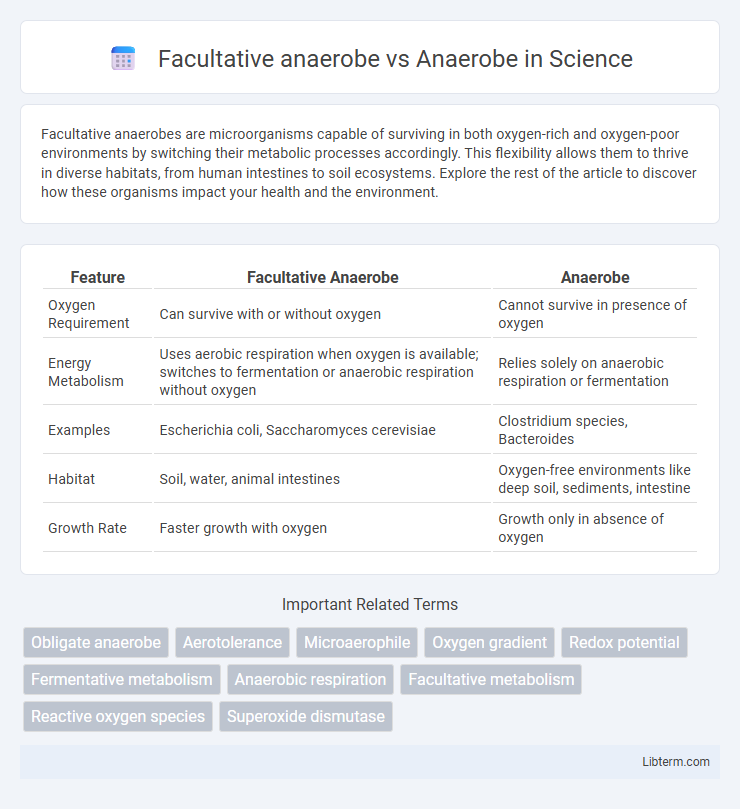 Anaerobe vs Facultative anaerobe in Science - What is The Difference?