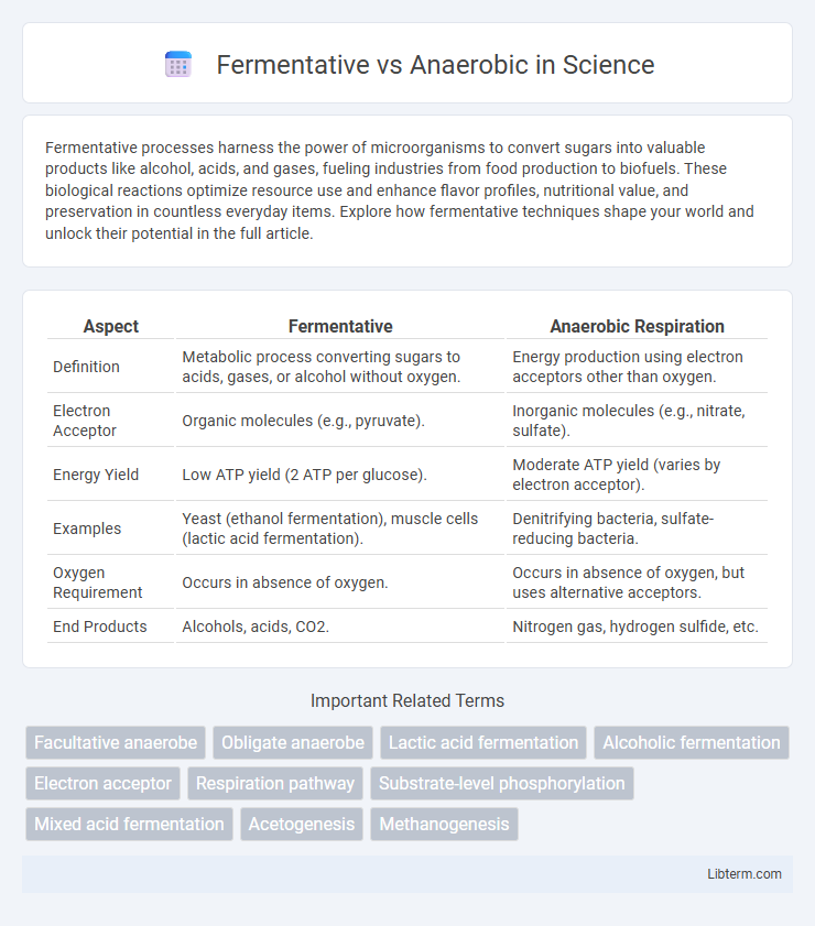 Anaerobic vs Fermentative in Science - What is The Difference?