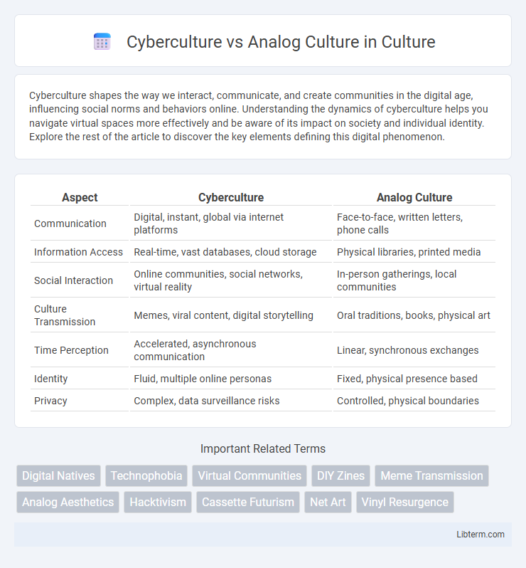 Analog Culture vs Cyberculture in Culture - What is The Difference?