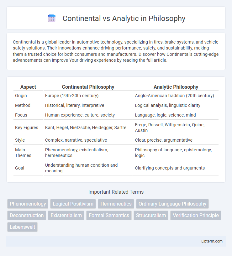 Analytic vs Continental in Philosophy - What is The Difference?