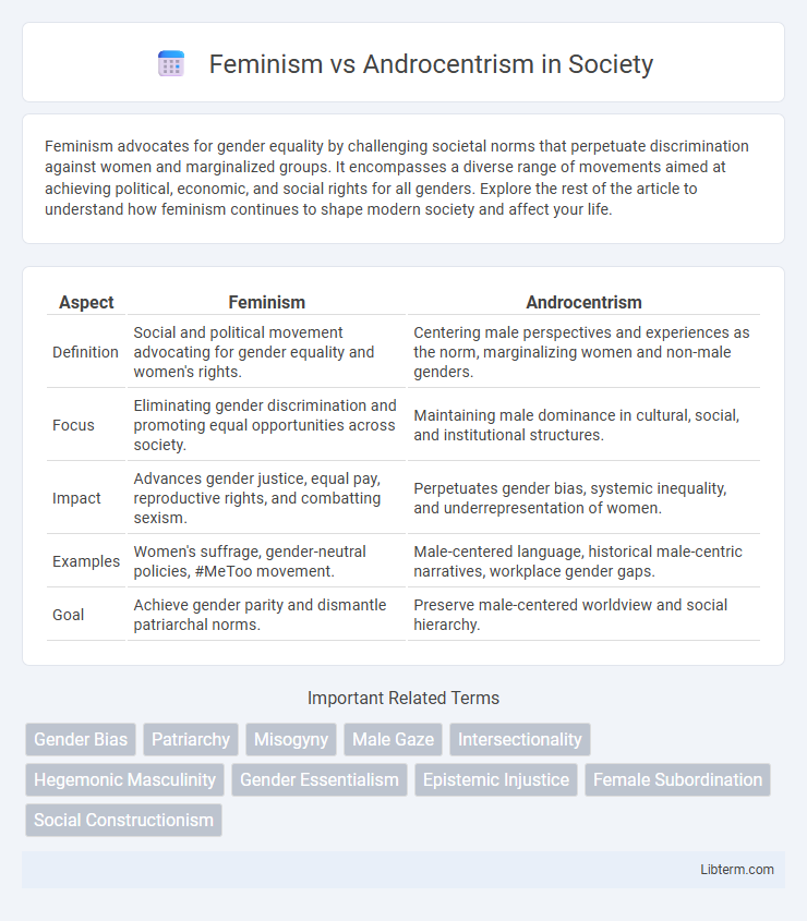 Androcentrism vs Feminism in Society - What is The Difference?