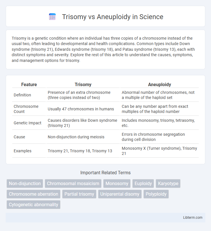 Aneuploidy vs Trisomy in Science - What is The Difference?