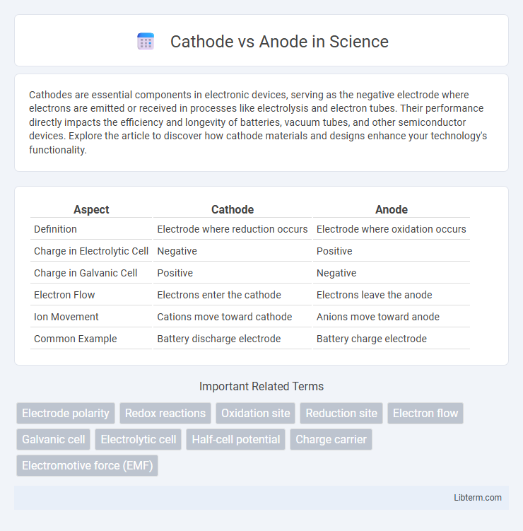 Anode vs Cathode in Science - What is The Difference?