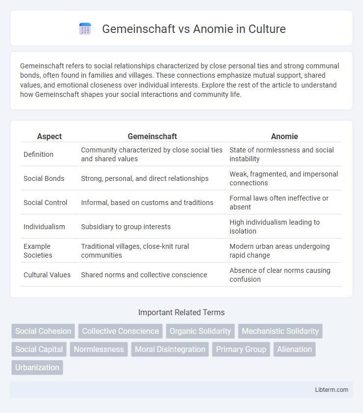 Anomie vs Gemeinschaft in Culture - What is The Difference?