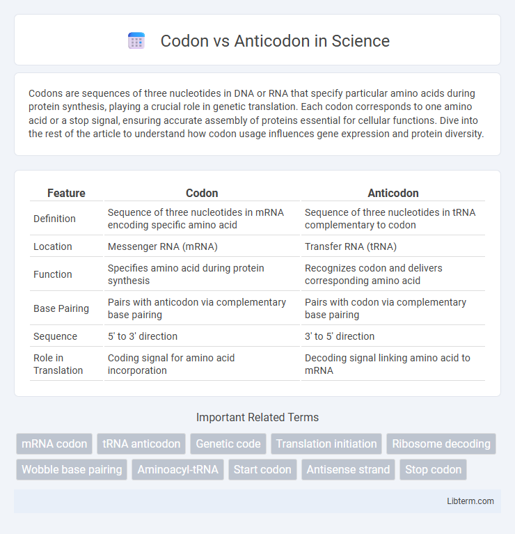 Anticodon vs Codon in Science - What is The Difference?