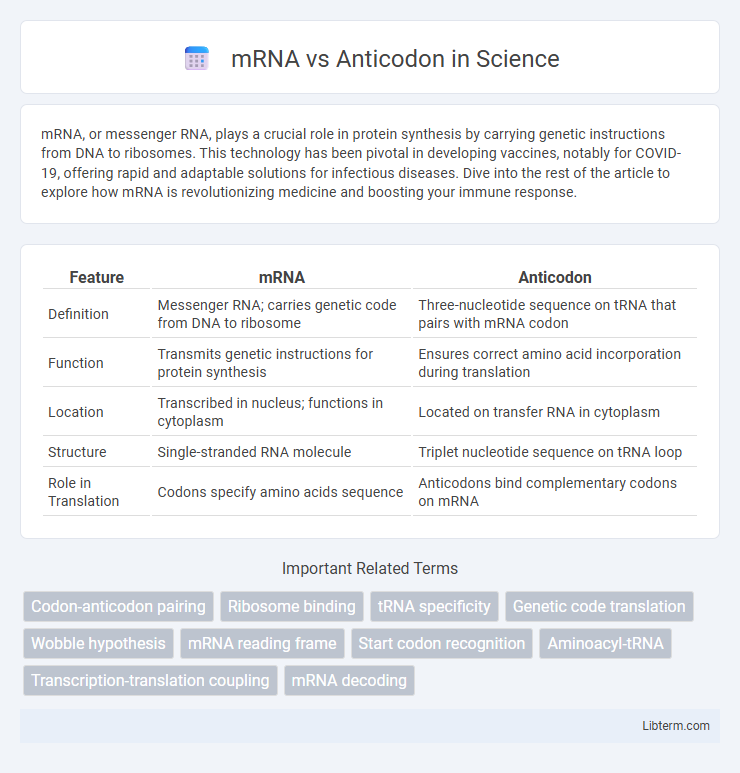 Anticodon vs mRNA in Science - What is The Difference?