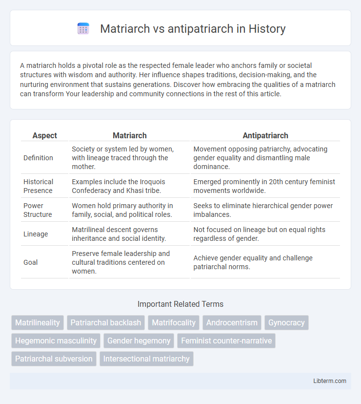 antipatriarch vs Matriarch in History - What is The Difference?