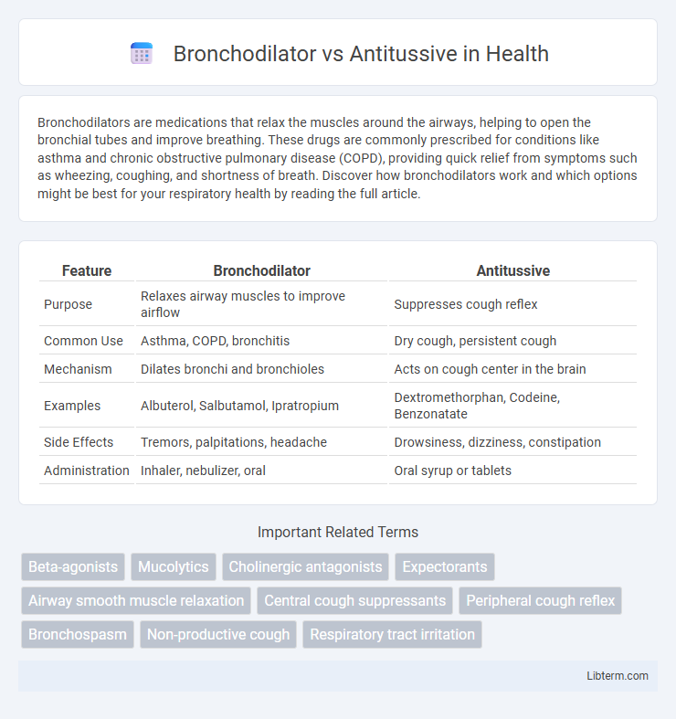 Antitussive vs Bronchodilator in Health - What is The Difference?