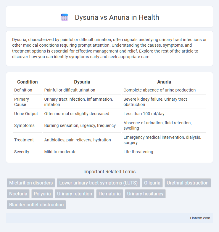 Anuria vs Dysuria in Health - What is The Difference?