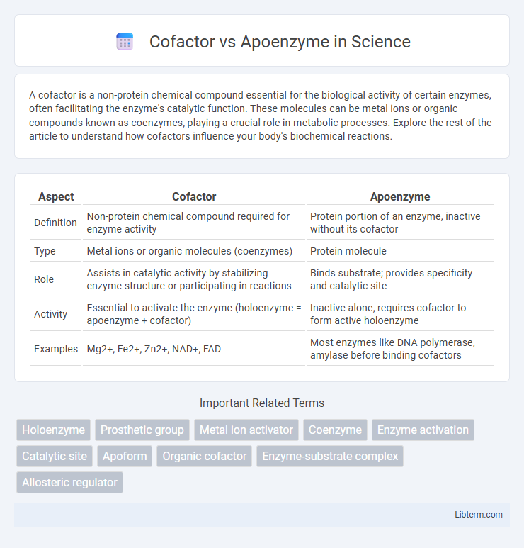 Apoenzyme vs Cofactor in Science - What is The Difference?