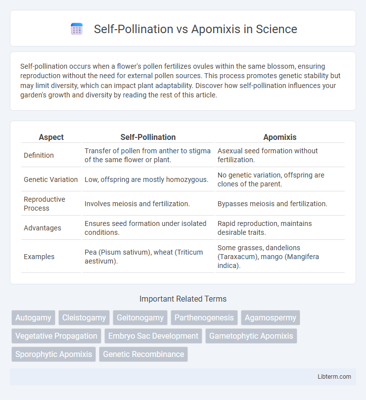 Apomixis vs Self-Pollination in Science - What is The Difference?