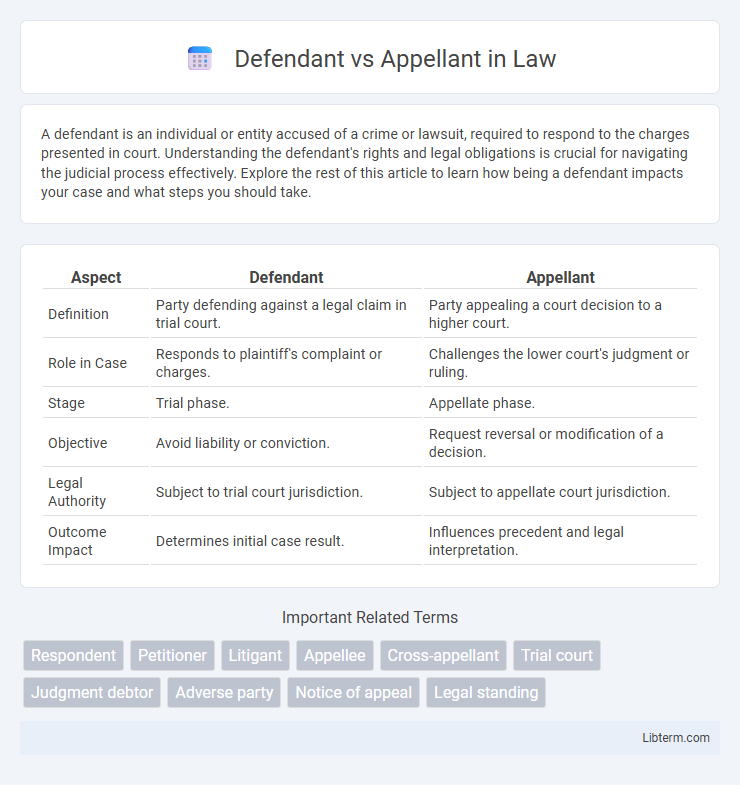 Appellant vs Defendant in Law - What is The Difference?