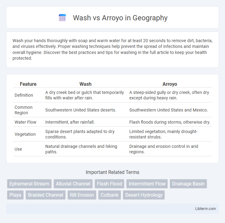 Arroyo vs Wash in Geography - What is The Difference?