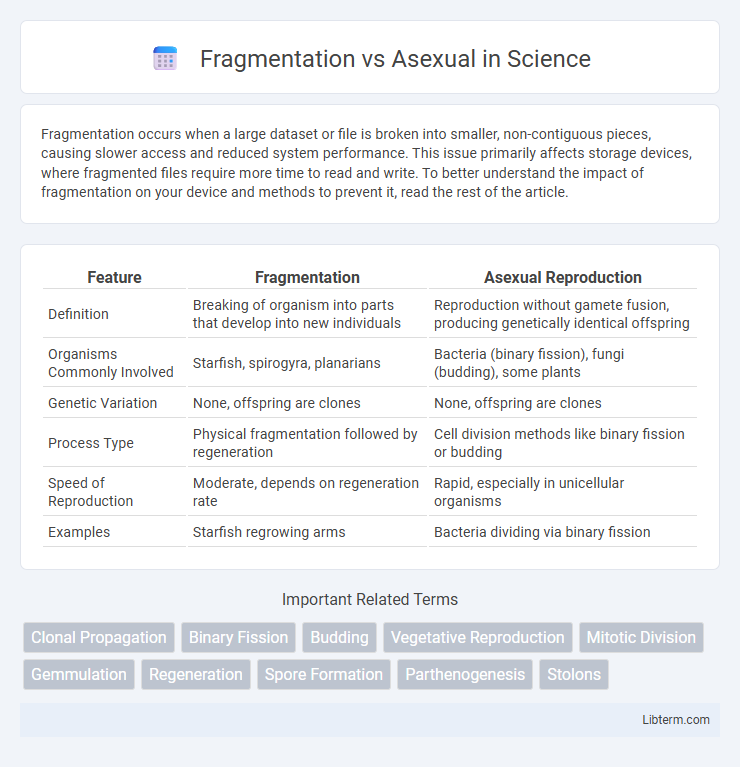 Asexual vs Fragmentation in Science - What is The Difference?