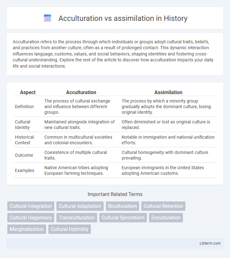 assimilation vs Acculturation in History - What is The Difference?