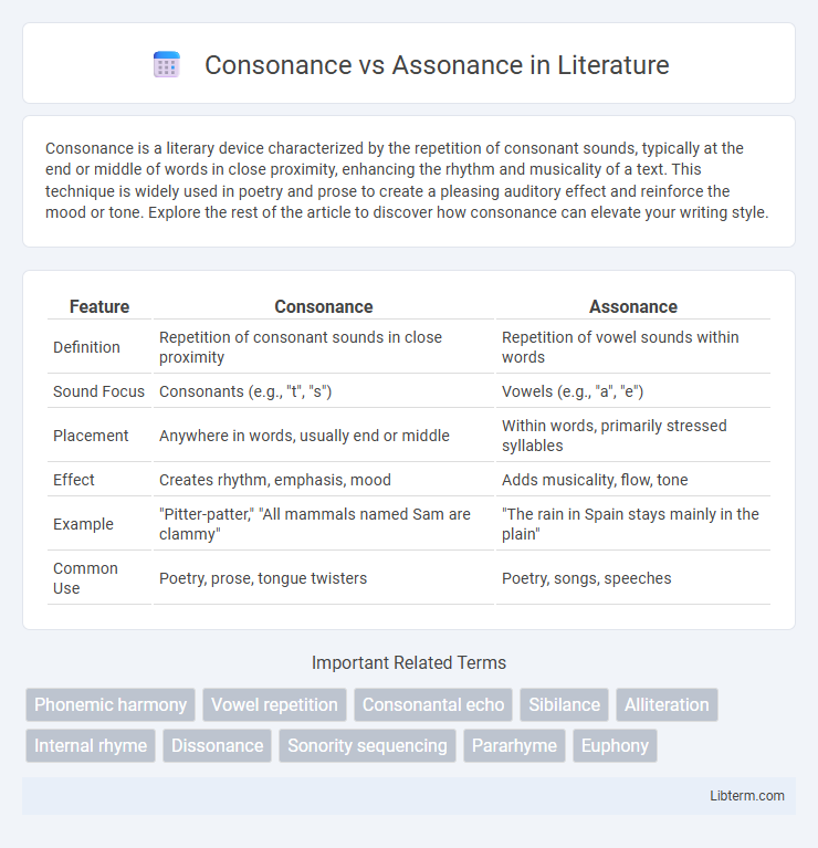 Assonance vs Consonance in Literature - What is The Difference?
