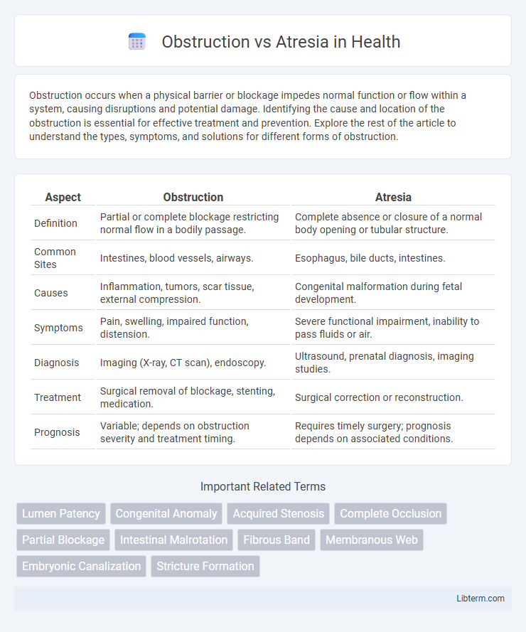 Atresia vs Obstruction in Health - What is The Difference?