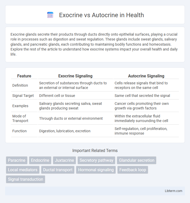 Autocrine vs Exocrine in Health - What is The Difference?