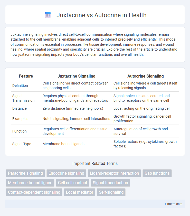 Autocrine vs Juxtacrine in Health - What is The Difference?