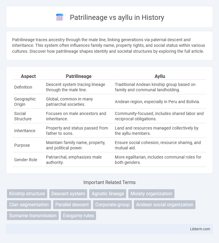 ayllu vs Patrilineage in History - What is The Difference?