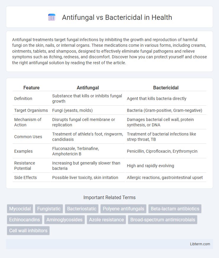 Bactericidal vs Antifungal in Health - What is The Difference?