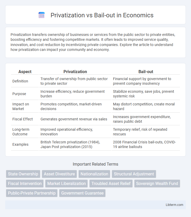 Bail-out vs Privatization in Economics - What is The Difference?