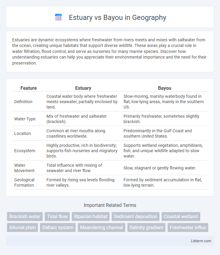 Bayou vs Estuary in Geography - What is The Difference?