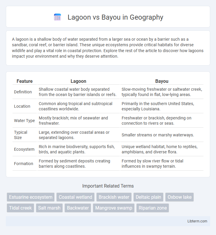 Bayou vs Lagoon in Geography - What is The Difference?