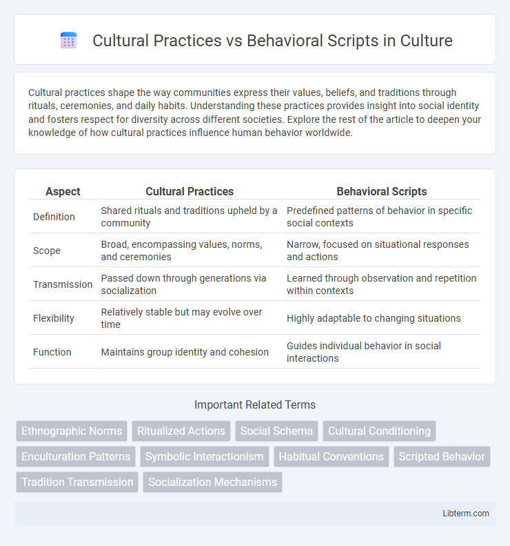 Behavioral Scripts vs Cultural Practices in Culture - What is The Difference?