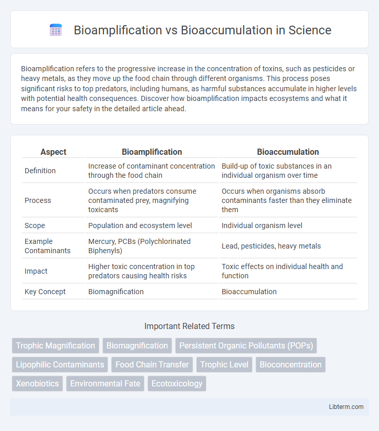 Bioaccumulation vs Bioamplification in Science - What is The Difference?