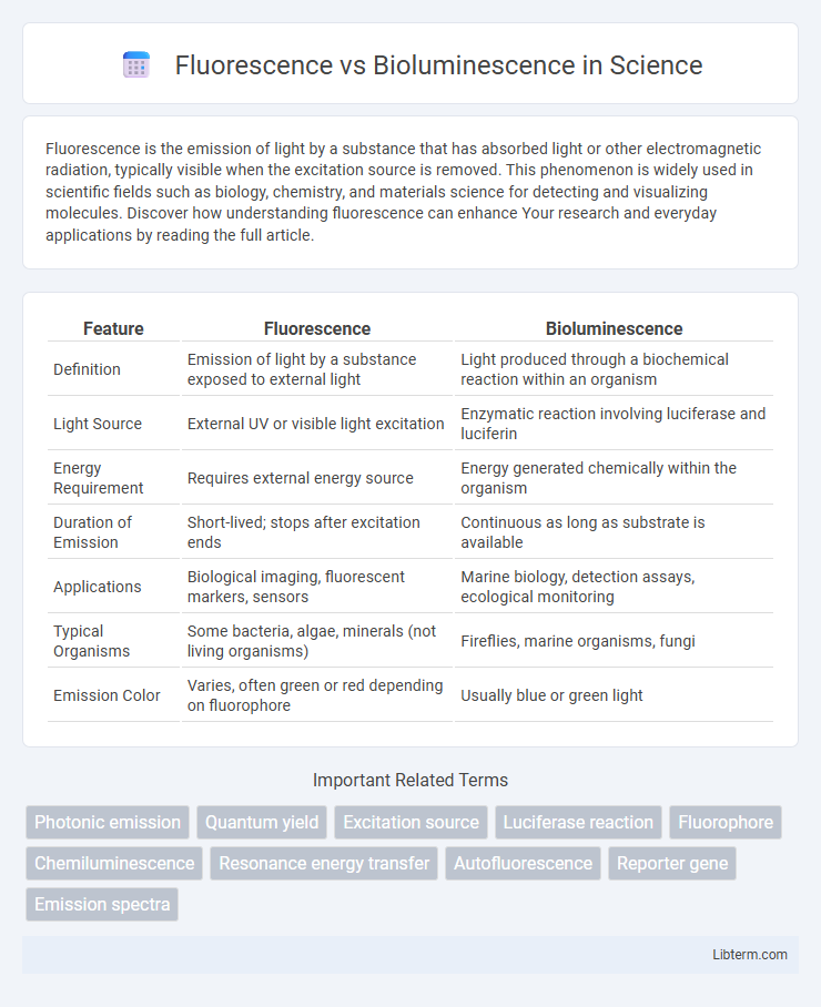 Bioluminescence vs Fluorescence in Science - What is The Difference?