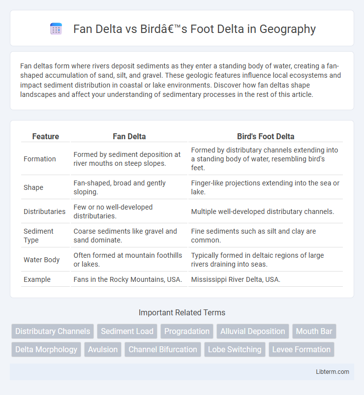 Bird’s Foot Delta vs Fan Delta in Geography - What is The Difference?