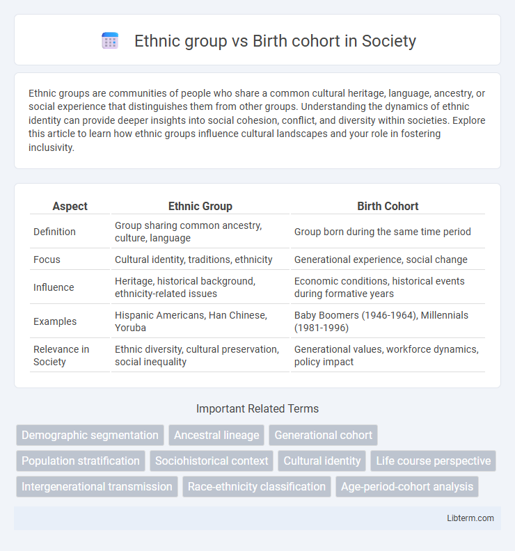 Birth cohort vs Ethnic group in Society - What is The Difference?