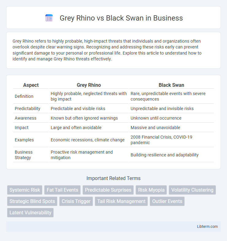 Black Swan vs Grey Rhino in Business - What is The Difference?