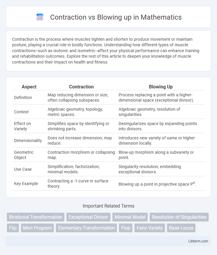 Blowing up vs Contraction in Mathematics - What is The Difference?