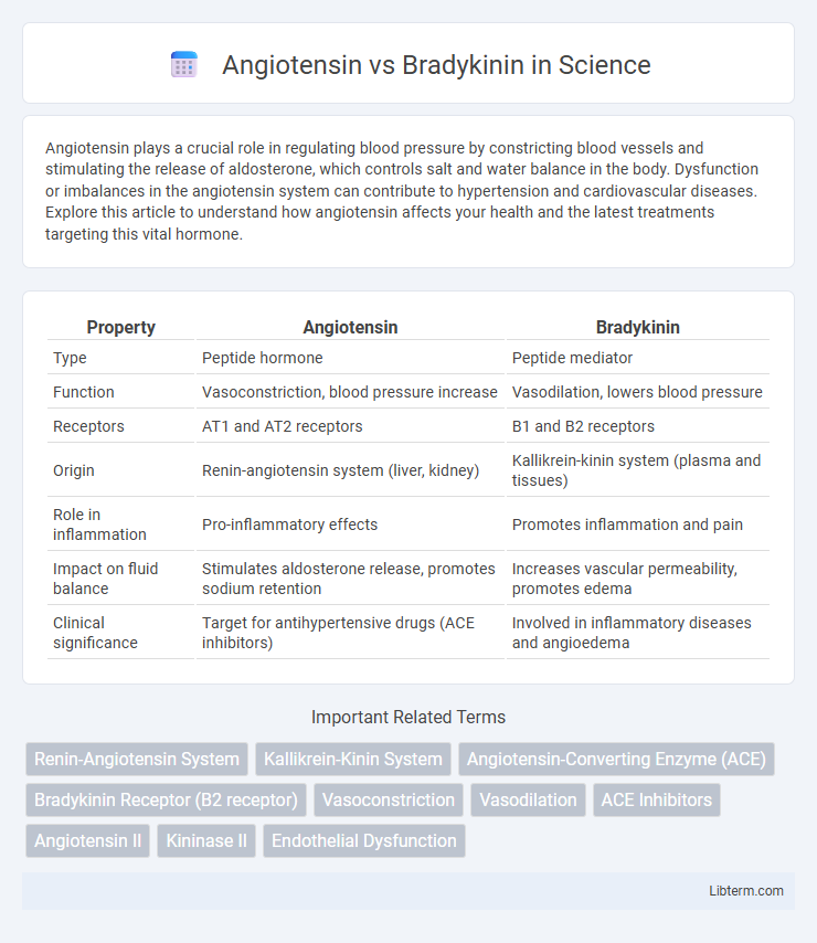 Bradykinin vs Angiotensin in Science - What is The Difference?