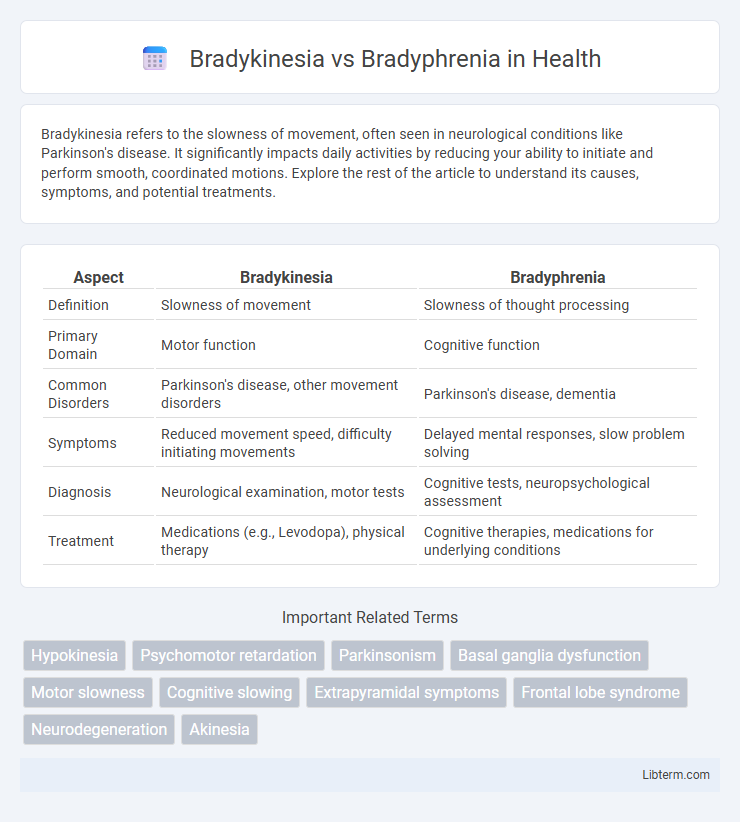 Bradyphrenia vs Bradykinesia in Health - What is The Difference?