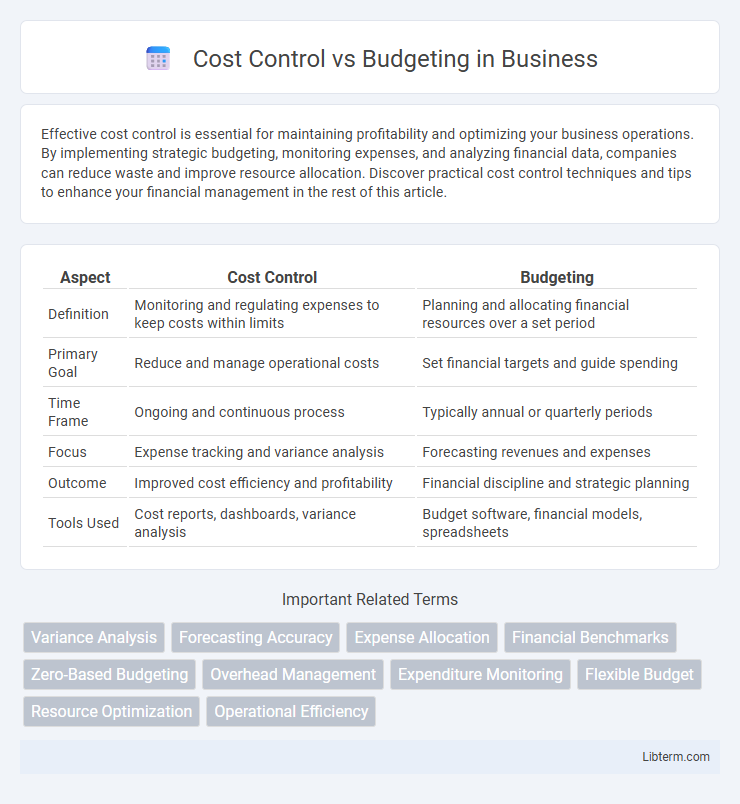 Budgeting vs Cost Control in Business - What is The Difference?