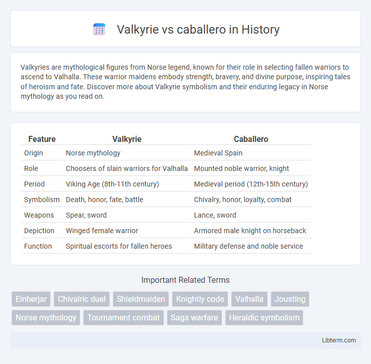 caballero vs Valkyrie in History - What is The Difference?