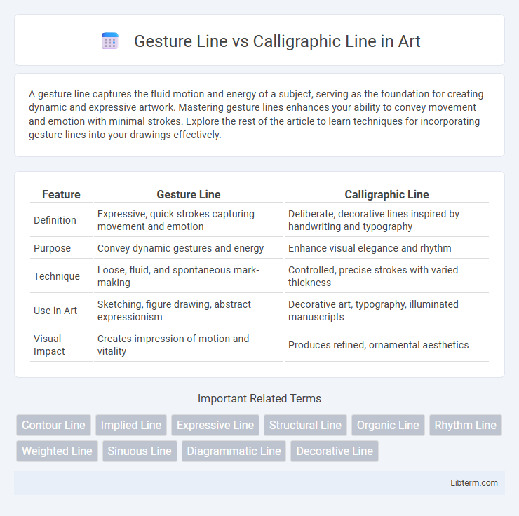 Calligraphic Line vs Gesture Line in Art - What is The Difference?