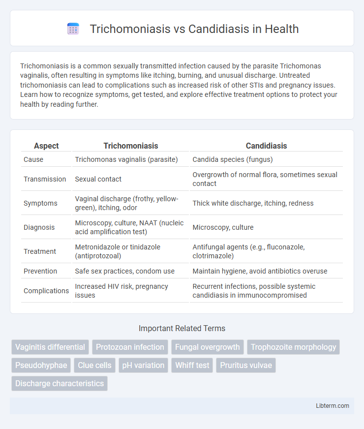 Candidiasis vs Trichomoniasis in Health - What is The Difference?