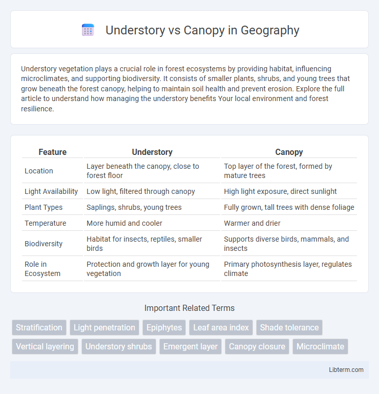 Canopy vs Understory in Geography - What is The Difference?