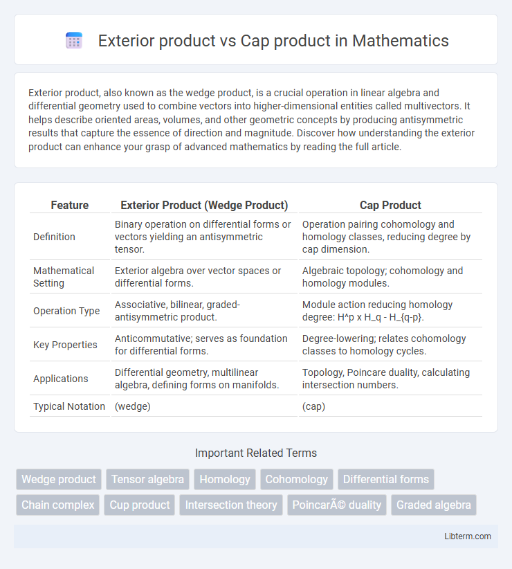 Cap product vs Exterior product in Mathematics - What is The Difference?