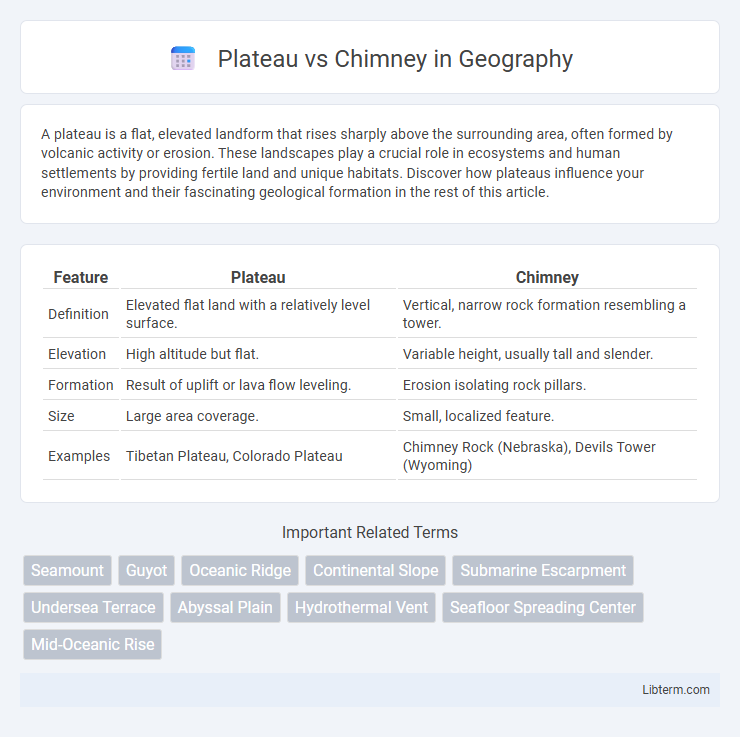 Chimney vs Plateau in Geography - What is The Difference?