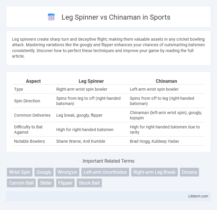 Chinaman vs Leg Spinner in Sports - What is The Difference?